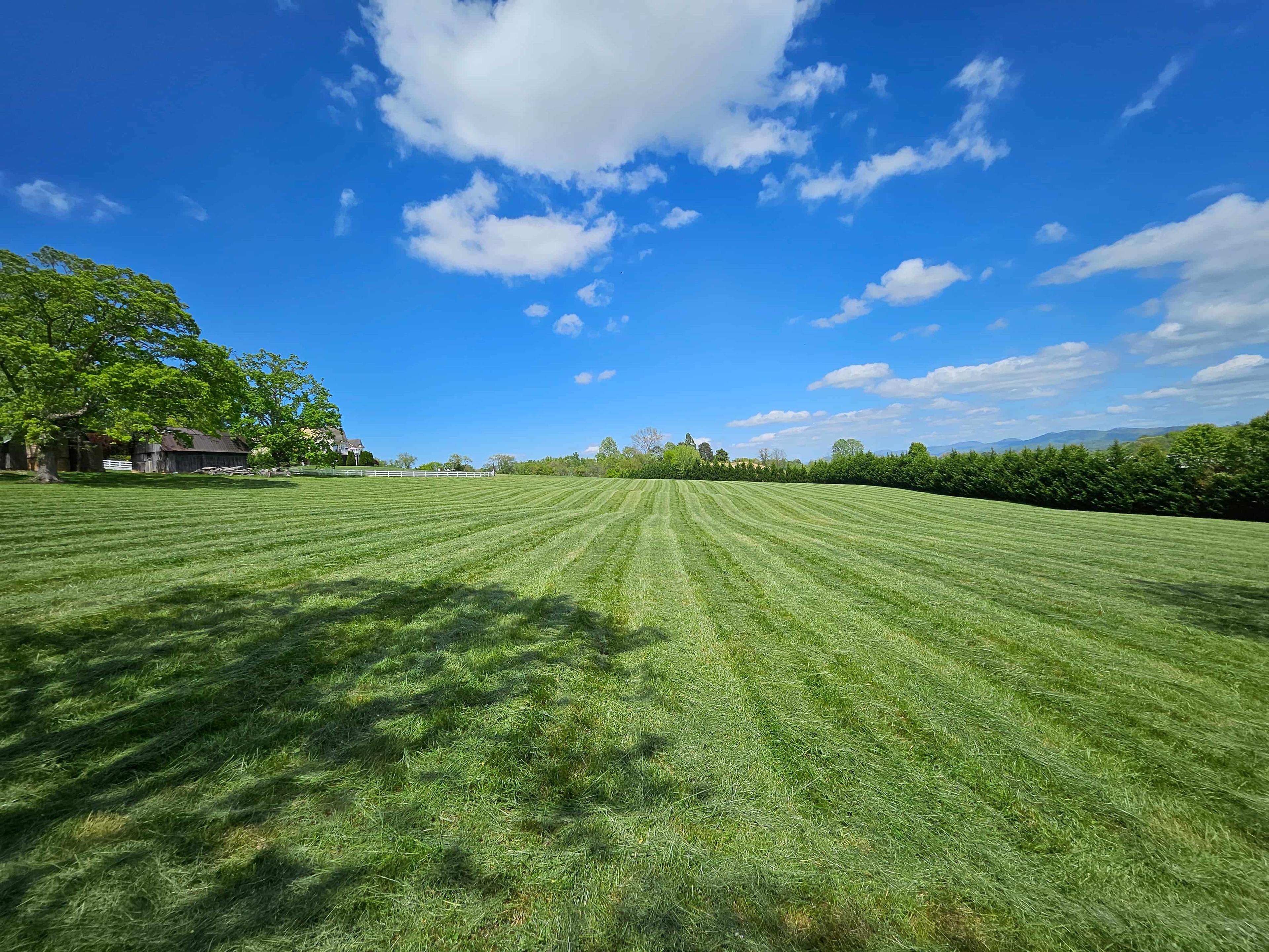 Green Sneakers project 1