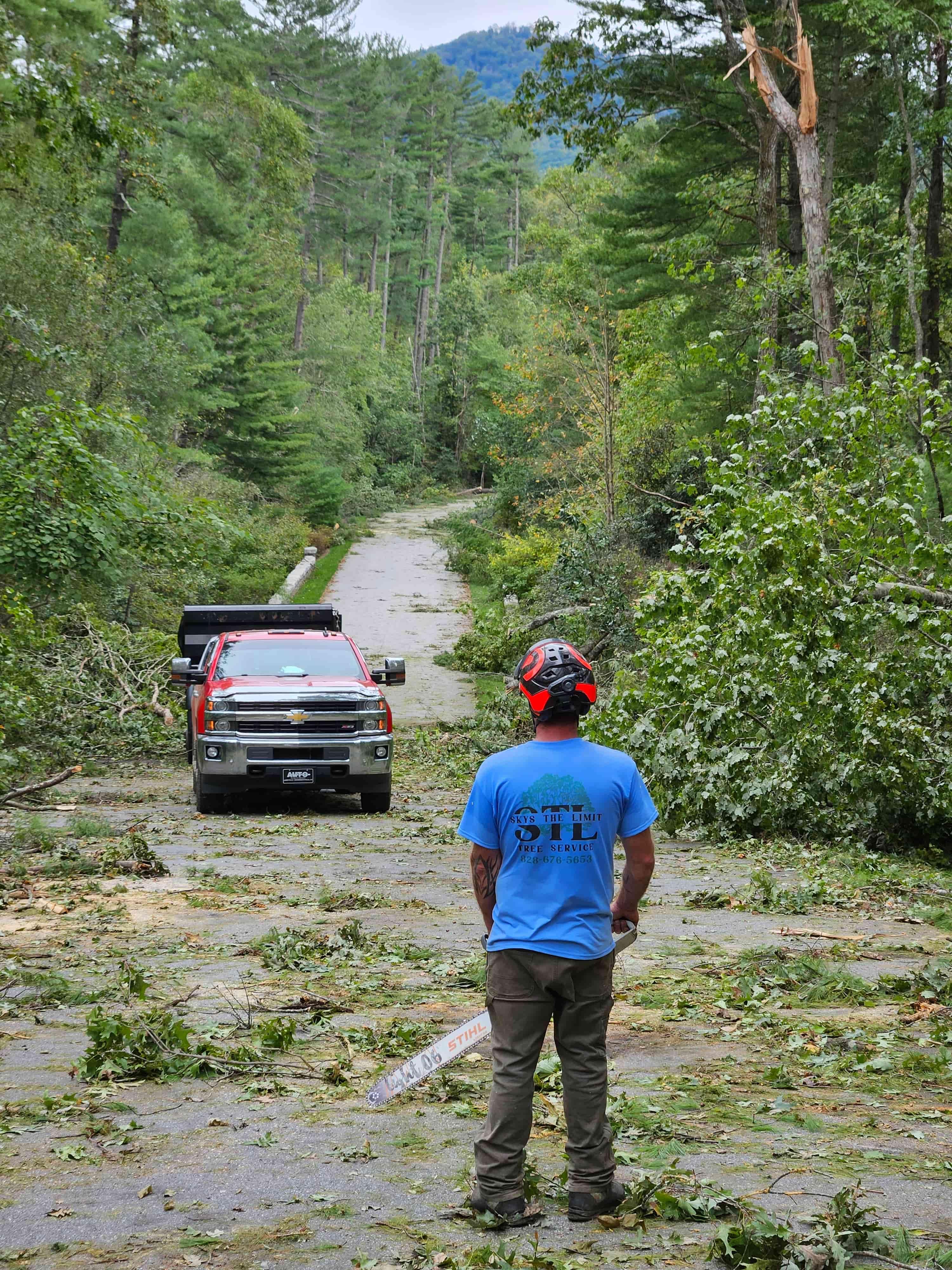 Green Sneakers project 2