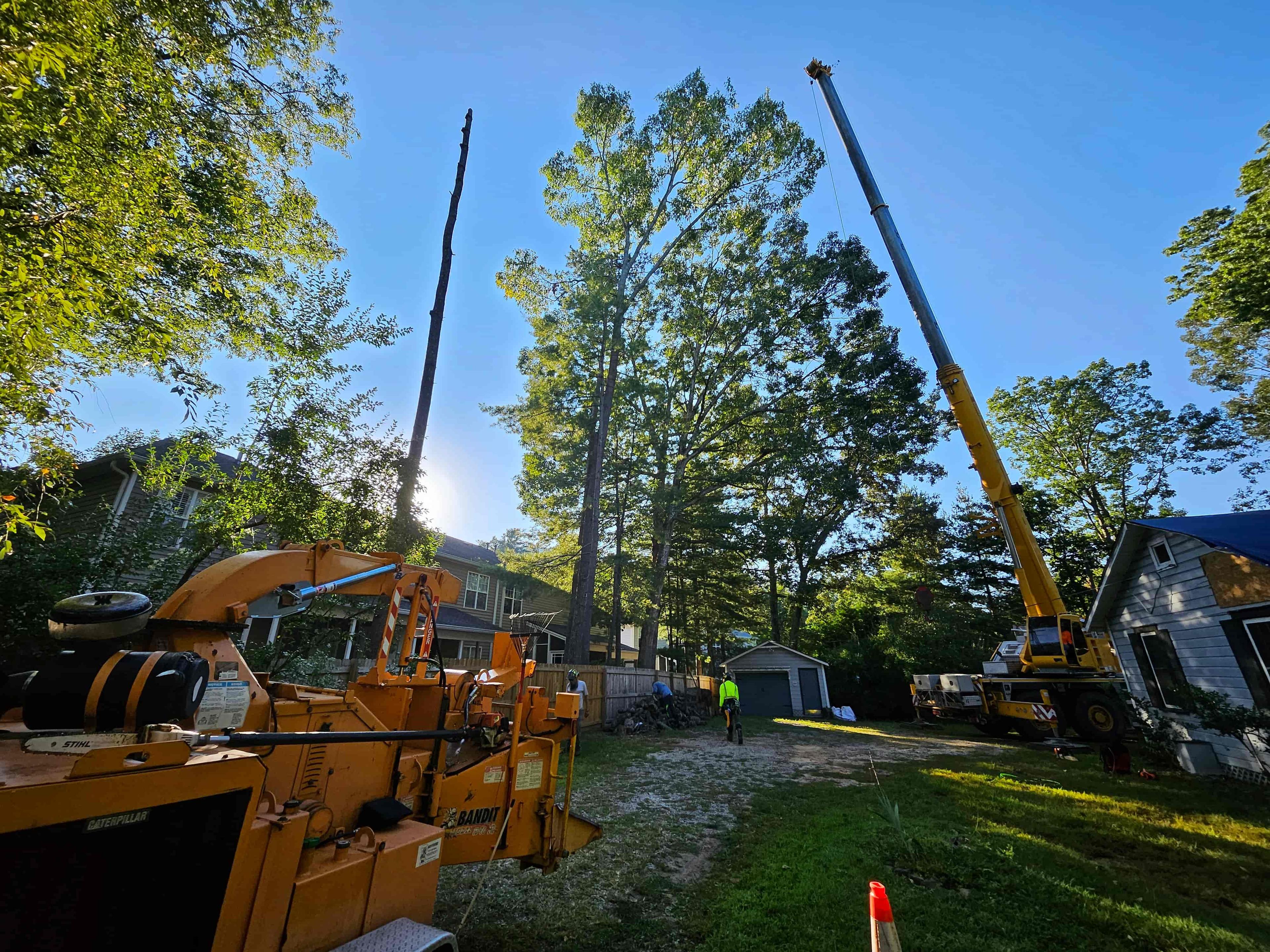Green Sneakers project 5
