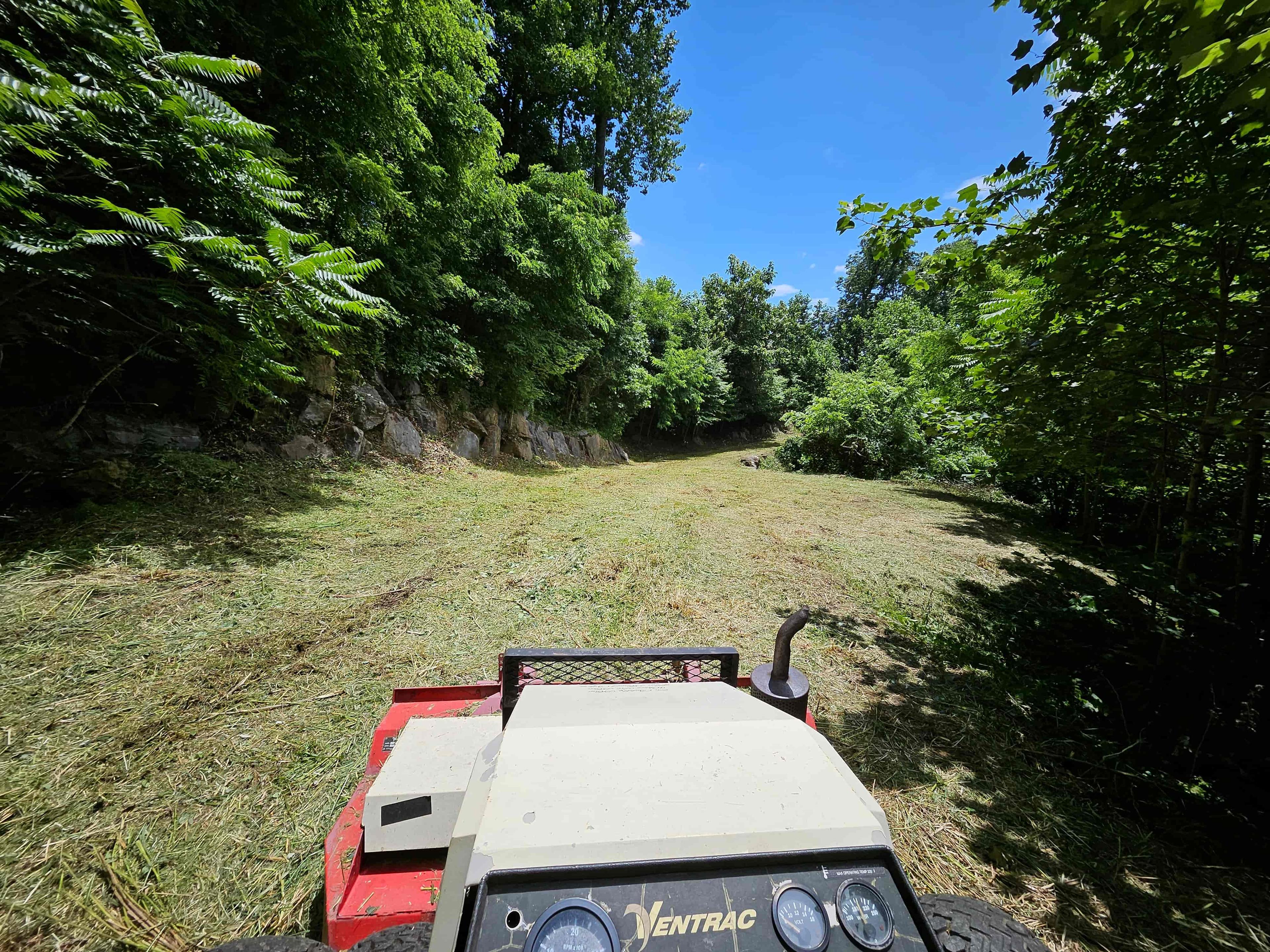 Green Sneakers project 6