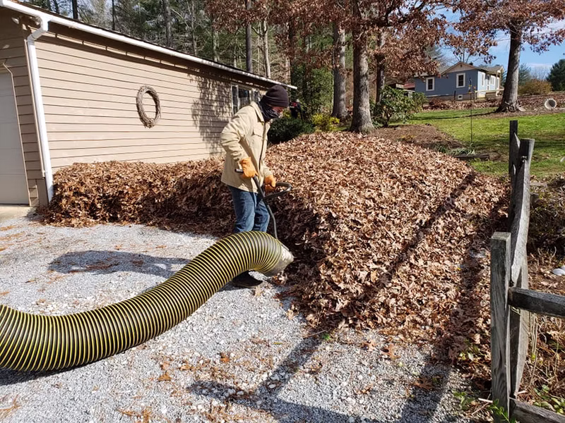 Leaf Removal