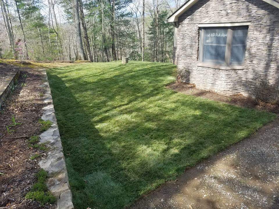 Sod Installation — New Construction